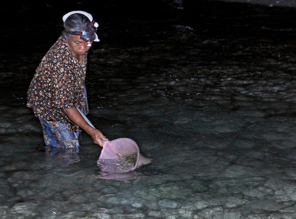 local people catching nyale at southern Lombok beach before dawn