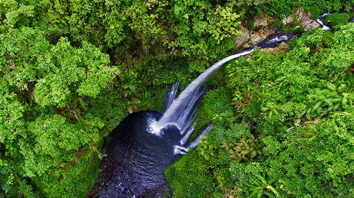 Air Terjun Tiu Kelep, Senaru, Lombok Utara