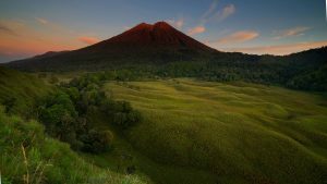 Savana Propok Lombok