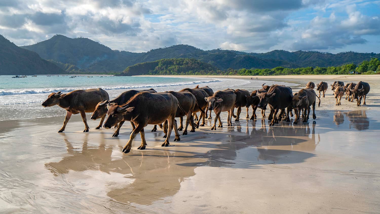 Pantai Selong Belanak Lombok: Tips Liburan Santai