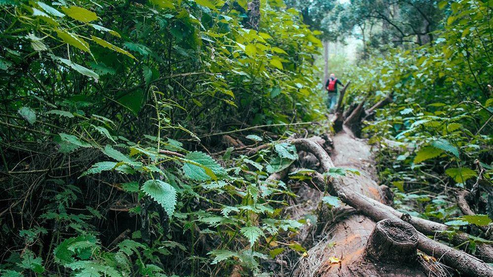 Paket Trekking Tambora Via Pancasila