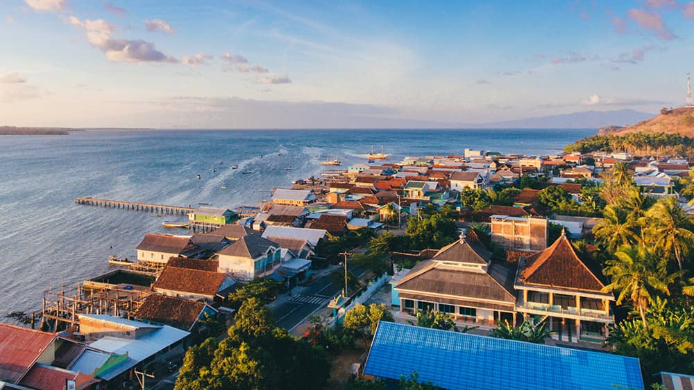 Sumbawa Whale Shark Tour (Start Poto Tano)