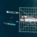 Whale Shark Tour Start Lombok