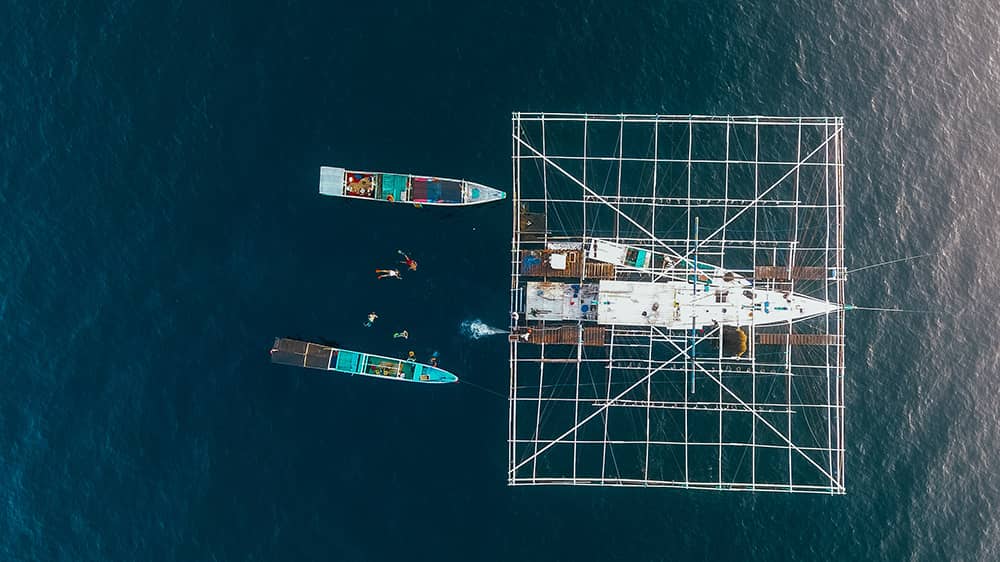 Whale Shark Tour Start Lombok