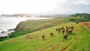 Lombok Tour Package