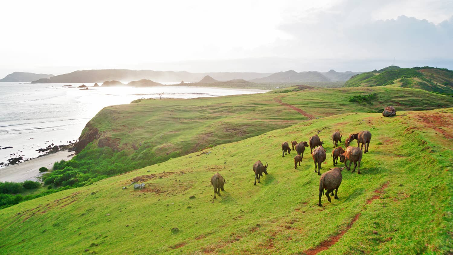 Paket Tour Lombok