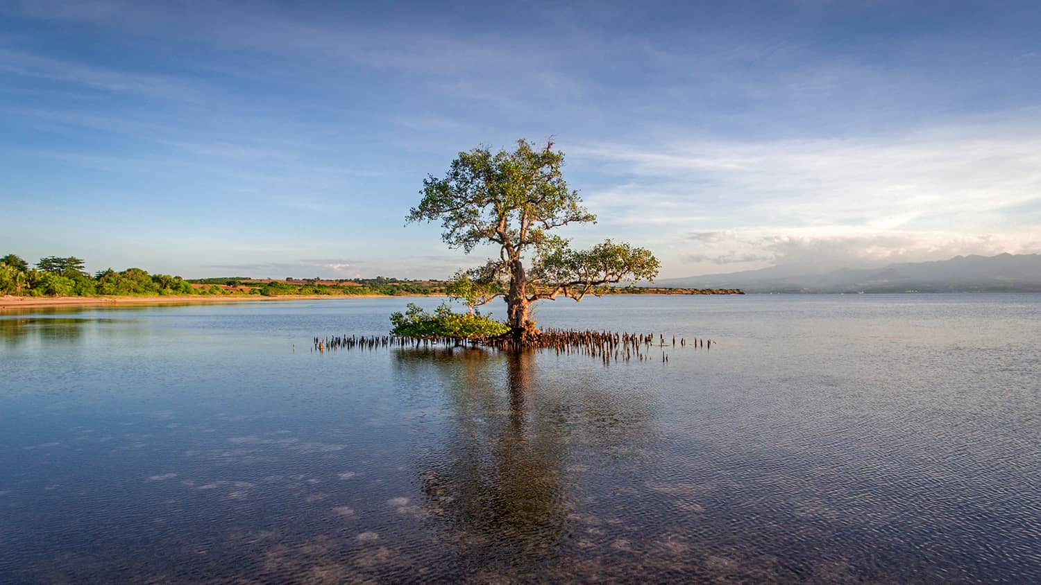 Sumbawa Day Trip