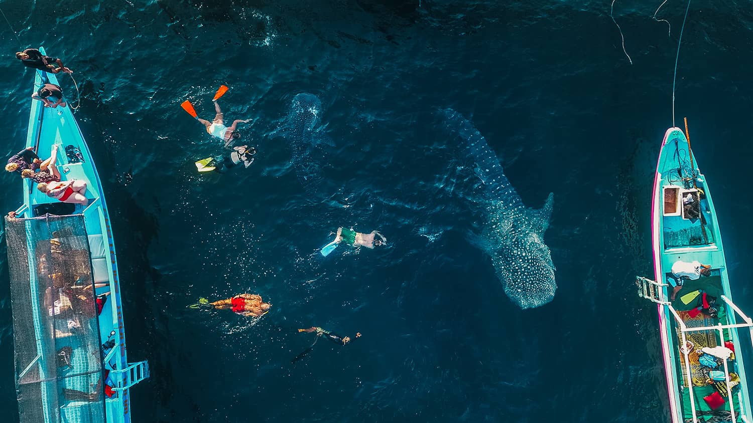 Paket Tour Sumbawa 3D2N D