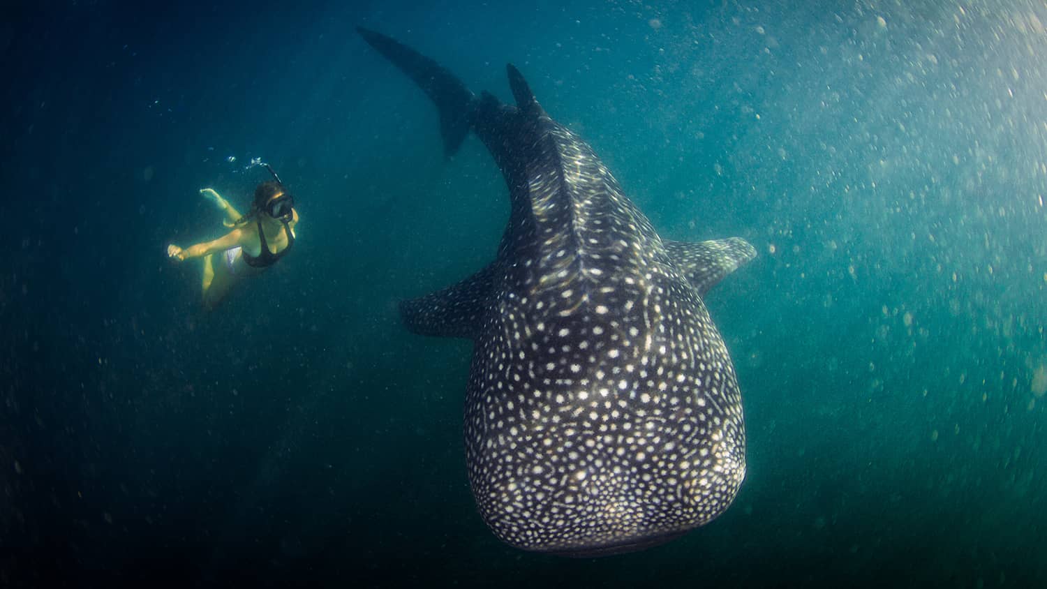 Paket Tour Sumbawa 3D2N E