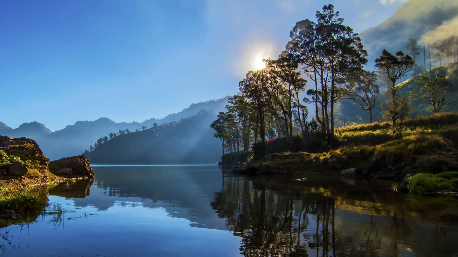 Hutan tropis jalur pendakian Rinjani via Senaru